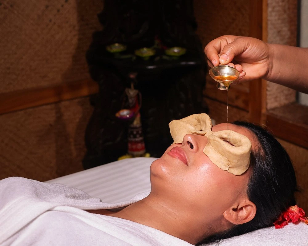 naturoville himalayan wellness retreat991770191378.webp