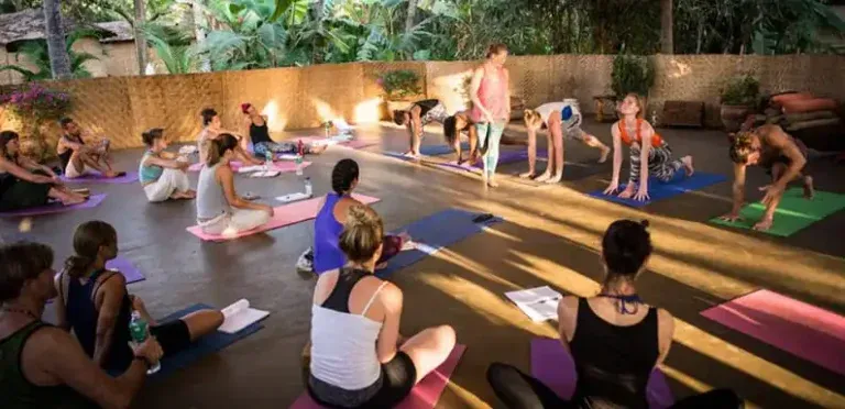 mahi yoga center dharamsala71772892334.webp