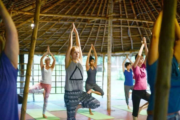kairali the ayurvedic healing village kerala 111775133768.webp