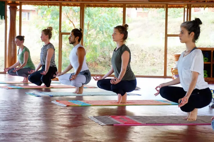 ayuryoga eco ashram mysore india 21789549950.webp